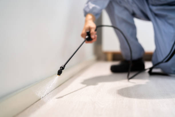 Licensed Cockroach Control service in Fairfield, IL - Nex Pest Control