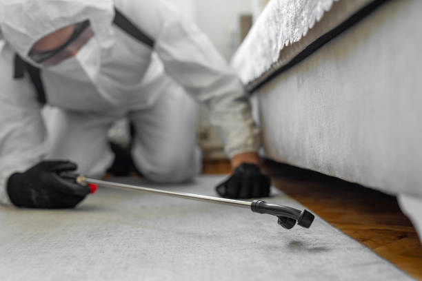 Professional Cockroach Control technician working in Fairfield, IL