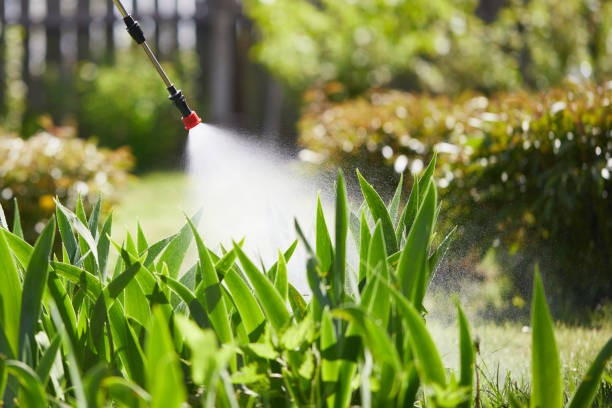 24/7 Emergency Cockroach Control experts in Fairfield, IL