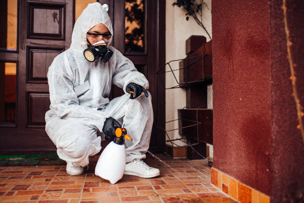 Reliable Cockroach Control contractor in Fairfield, IL by Nex Pest Control