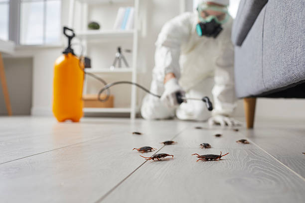 Affordable Cockroach Control solutions in Fairfield, IL