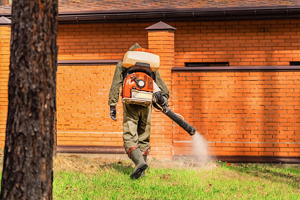 Top rated local Cockroach Control specialists in Fairfield, IL